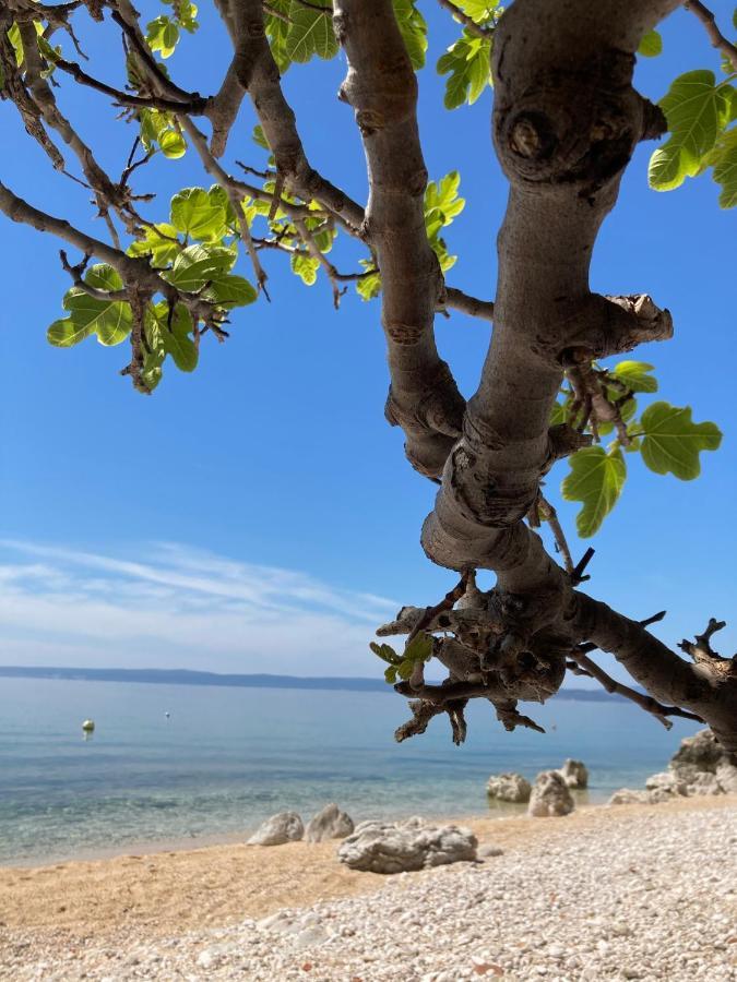 فيلا Kuca Za Odmor Baya Stara Baška المظهر الخارجي الصورة